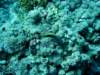 dsc02831_small.jpg