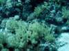 dsc02833_small.jpg