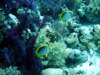 dsc02834_small.jpg