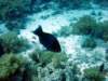 dsc02835_small.jpg