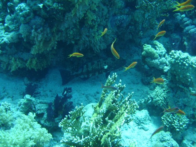 dsc02837.jpg