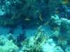 dsc02837_small.jpg