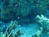 dsc02838_small.jpg