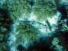 dsc02840_small.jpg