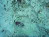dsc02841_small.jpg