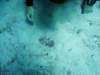 dsc02842_small.jpg