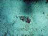 dsc02843_small.jpg