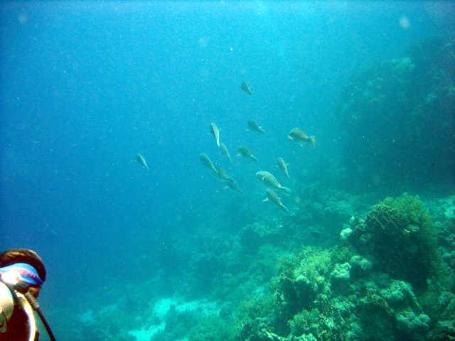 dsc02844.jpg