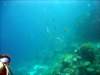 dsc02844_small.jpg