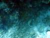 dsc02845_small.jpg