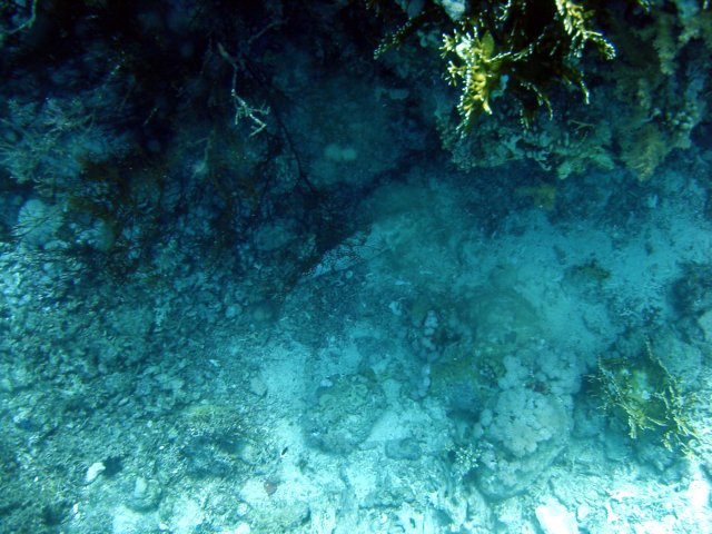 dsc02846.jpg
