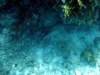 dsc02846_small.jpg
