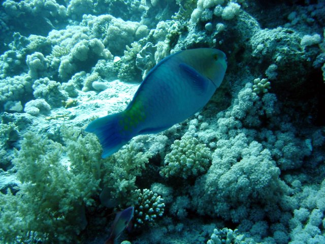 dsc02848.jpg