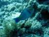 dsc02848_small.jpg