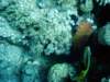 dsc02850_small.jpg