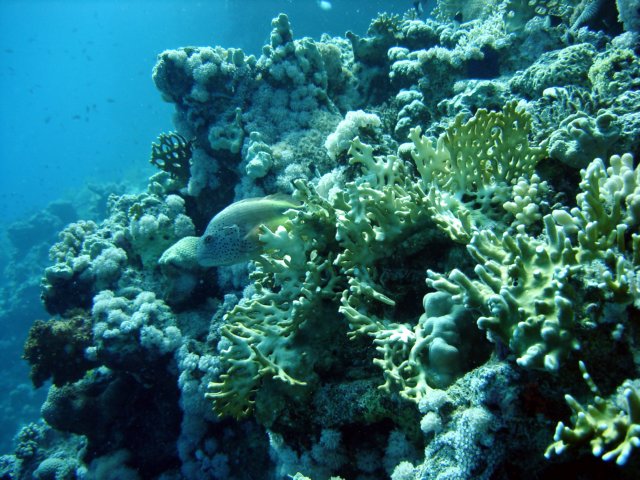 dsc02851.jpg