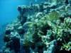 dsc02851_small.jpg