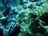 dsc02852_small.jpg