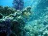 dsc02853_small.jpg