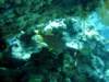 dsc02854_small.jpg