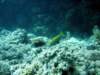 dsc02856_small.jpg