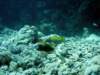 dsc02857_small.jpg