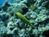 dsc02859_small.jpg