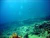 dsc02861_small.jpg