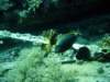 dsc02862_small.jpg