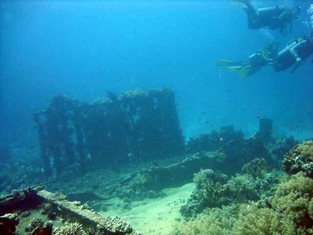 dsc02865.jpg