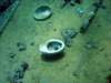 dsc02866_small.jpg