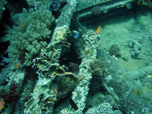 dsc02867.jpg