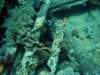 dsc02867_small.jpg