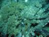 dsc02868_small.jpg