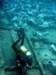 dsc02869_small.jpg