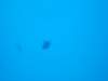 dsc02874_small.jpg