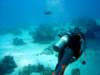 dsc02875_small.jpg
