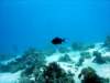 dsc02876_small.jpg
