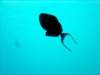 dsc02877_small.jpg
