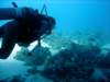 dsc02879_small.jpg