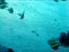 dsc02881_small.jpg