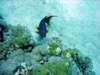 dsc02882_small.jpg