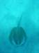 dsc02883_small.jpg