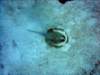 dsc02884_small.jpg