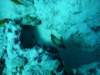 dsc02885_small.jpg