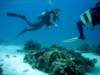 dsc02886_small.jpg