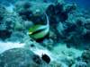 dsc02888_small.jpg