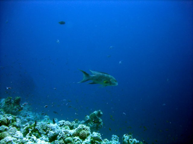 dsc02889.jpg