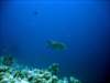 dsc02889_small.jpg