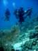 dsc02890_small.jpg